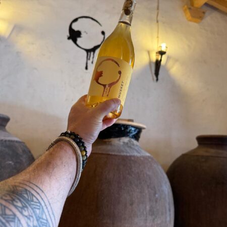 Prova de Vinhos na Adega
